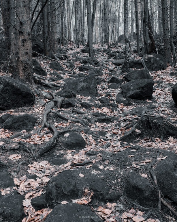 Waldpfad auf dem Weg zum Kleinstein