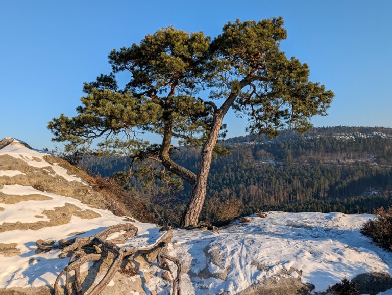 Aussicht vom Gamrig in der Sächsischen Schweiz