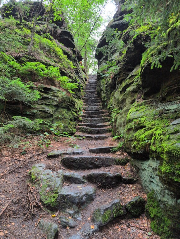 schmaler moosiger Felsweg im Bielatal nahe Herkulessäulen