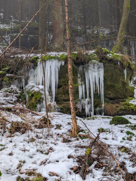 Gefrorene Eiszapfen im Wald nahe der Hohen Liebe