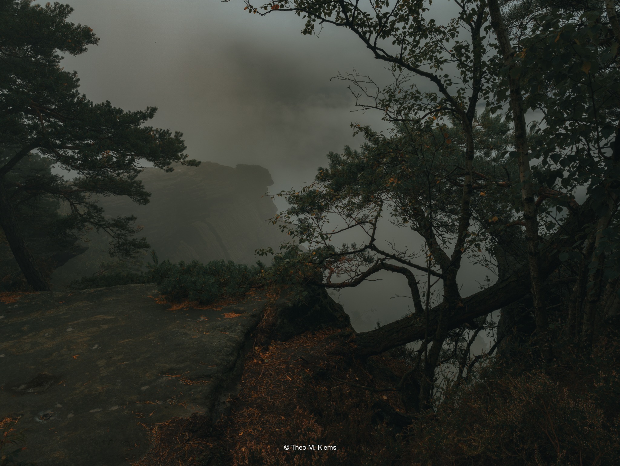 Blick vom Lilienstein über das Elbtal in der Sächsischen Schweiz bei ruhiger Morgenstimmung