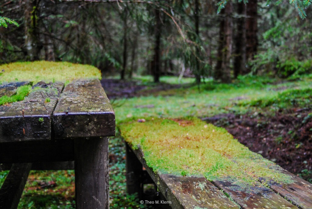 rastplatz wald kaprun