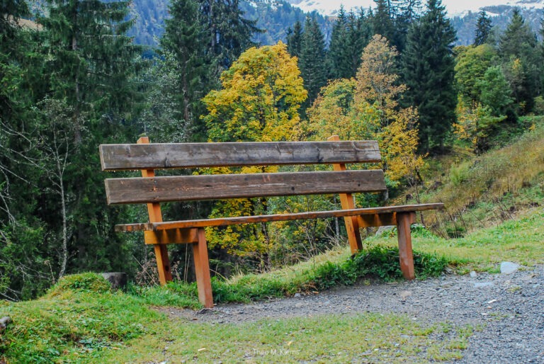 nasse bank am wanderweg