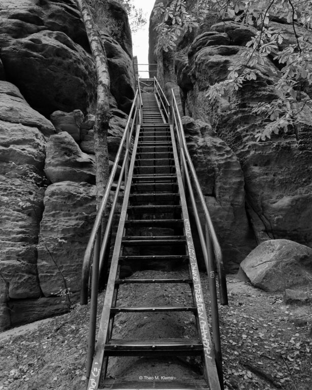 Rauensteine Aufstieg durch Wald und Sandstein im Elbsandsteingebirge