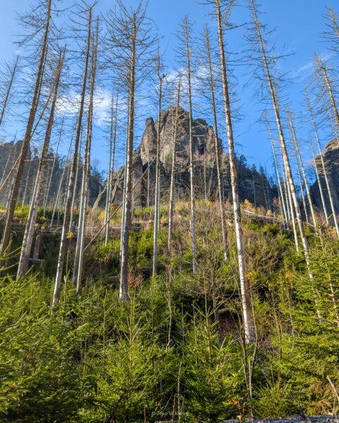 Wegführung zur Heiligen Stiege zwischen Sandsteinwänden