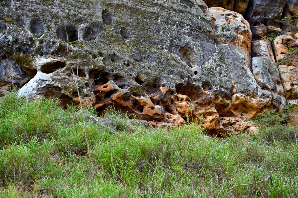 am Fuß des Rauschensteins, Sandstein in der Sächsischen Schweiz