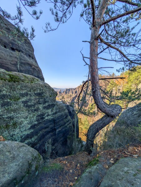 Blick vom Schrammsteingrat über Felsnadeln und Elbtal