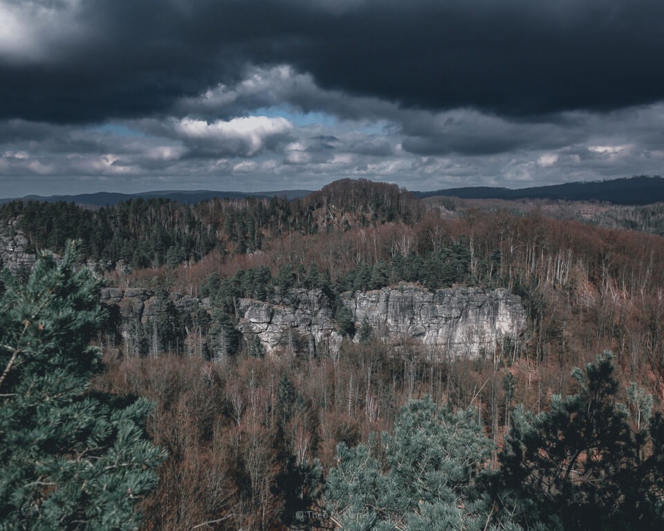 Wanderweg im Wald mit Licht und Schatten – Wahrnehmung beim Wandern
