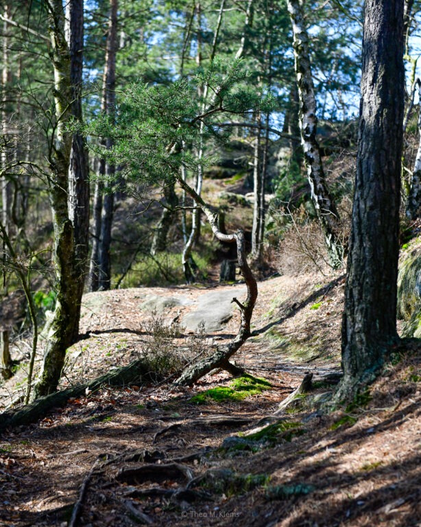 Schmaler Gratweg auf dem Großen Teichstein – Wanderung im Großen Zschand