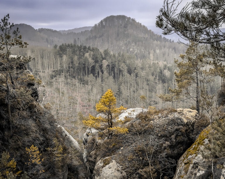 Wandern in der Sächsischen Schweiz – Wege, die Aufmerksamkeit verlangen Aussicht vom Carolafelsen in den Schrammsteinen über das Elbtal