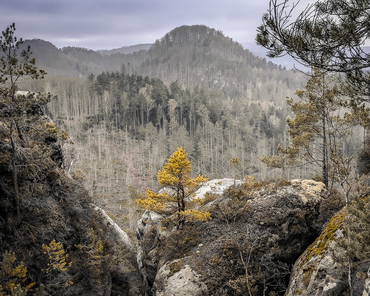 Aussicht vom Carolafelsen in den Schrammsteinen über das Elbtal