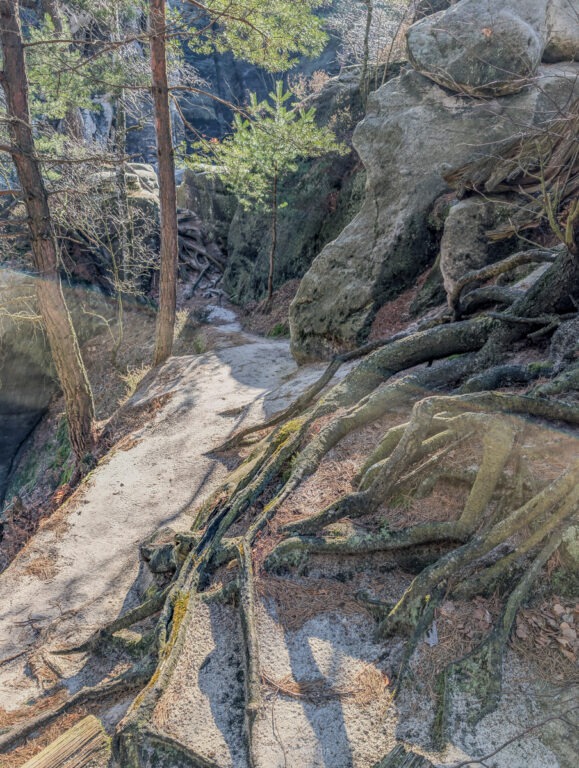 Weg an den Honigsteinen