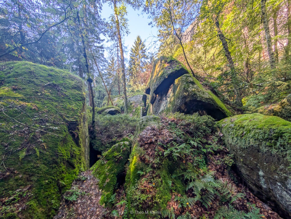 wilde Hölle im Elbsandstein