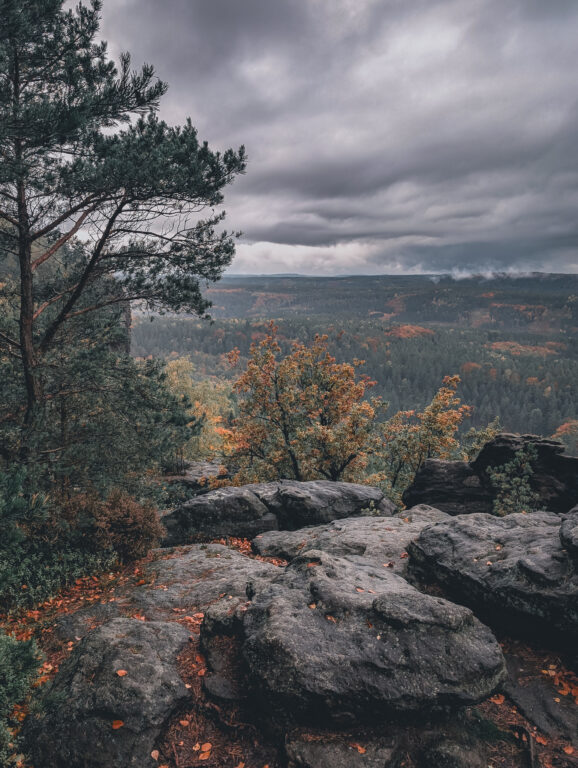 Kleiner Zschirnstein im Waldgebiet der Sächsischen Schweiz