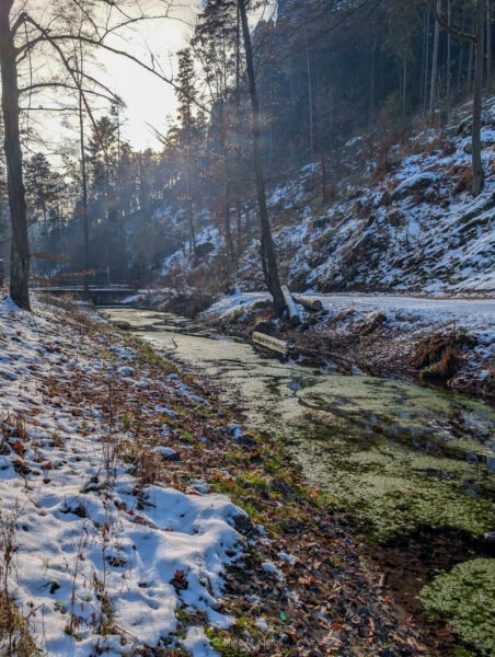 Winterlicher Weg am Amselsee bei Rathen mit verschneitem Ufer